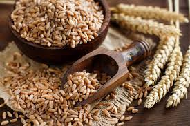 Farro: proprietà nutrizionali e due deliziose ricette