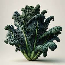 cavolo nero